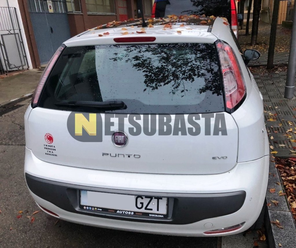 Fiat Punto Evo (2010)  Información general 