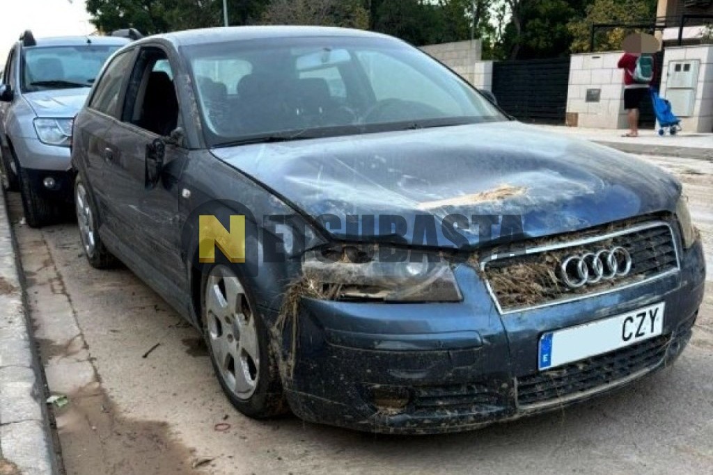 Audi A3 1.9 TDI 2004