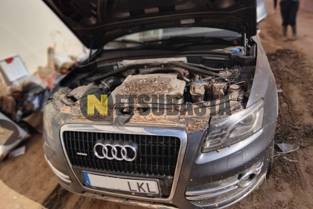 Audi Q5 3.0 TDI quattro S tronic 7 vel. DPF 2008