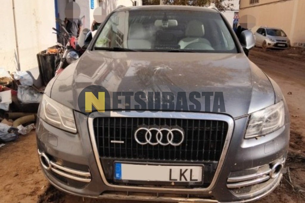 Audi Q5 3.0 TDI quattro S tronic 7 vel. DPF 2008