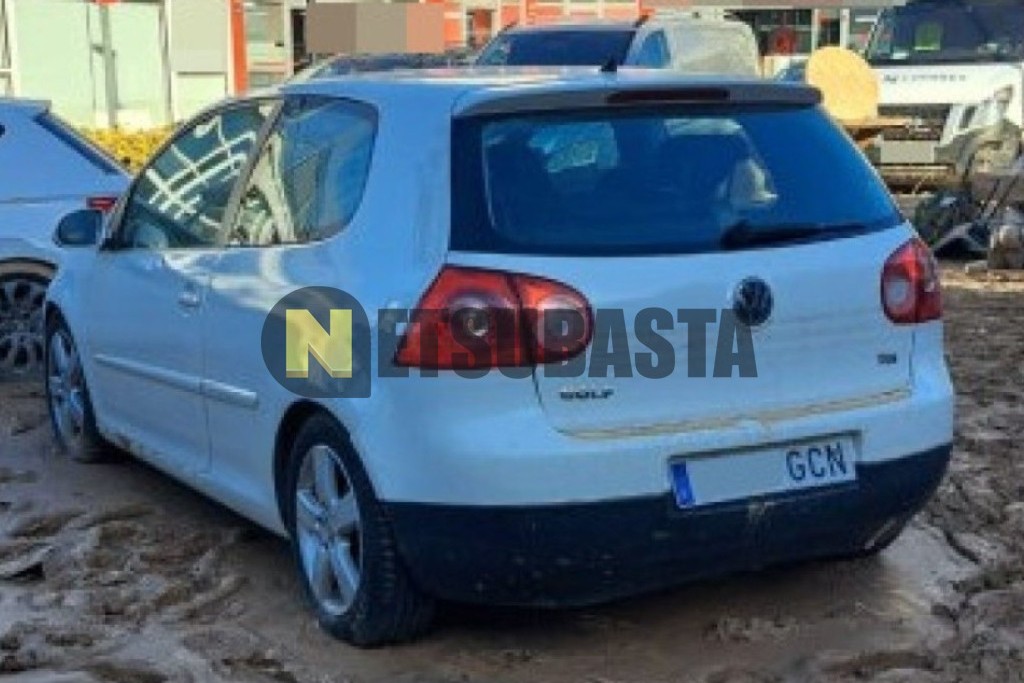 Volkswagen Golf 1.9 TDI 2008