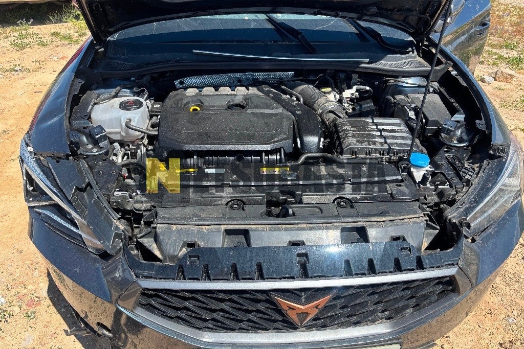 Cupra León 1.5 eTSI DSG 2024