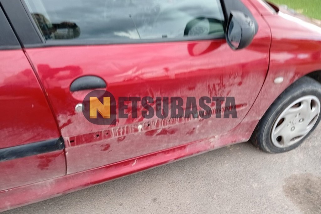 Peugeot 206 1.9D 1999