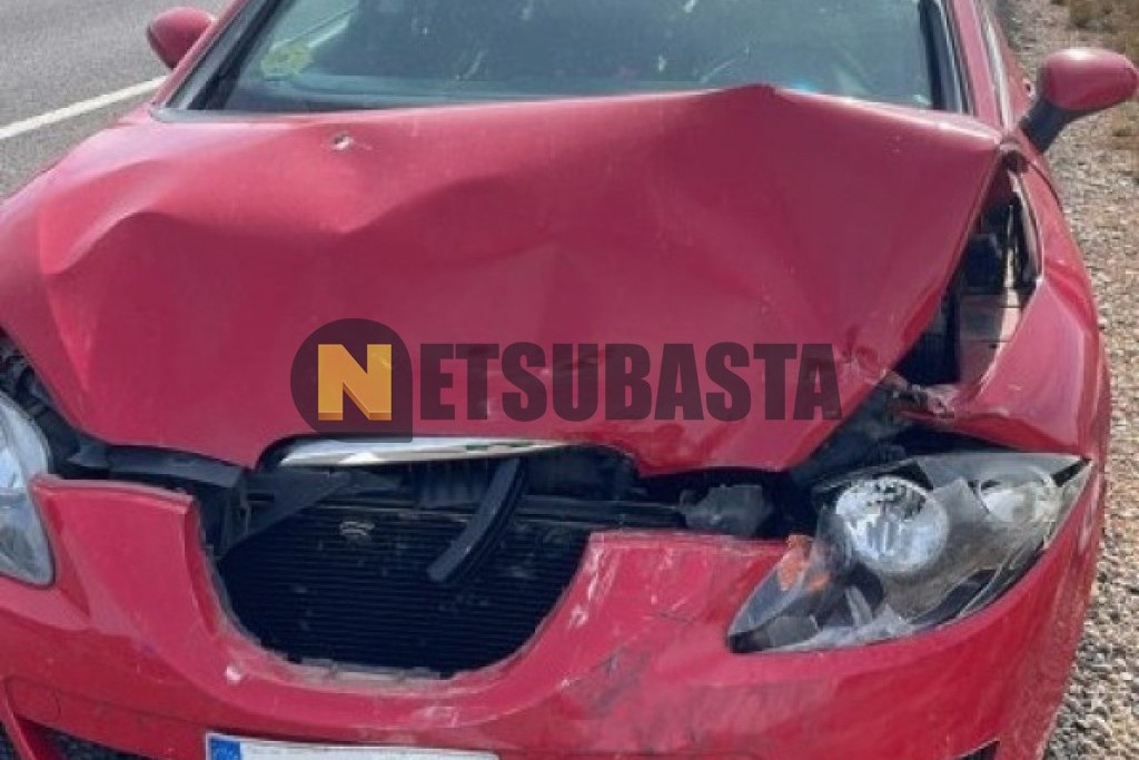 Seat Leon 1.9 TDI 2006