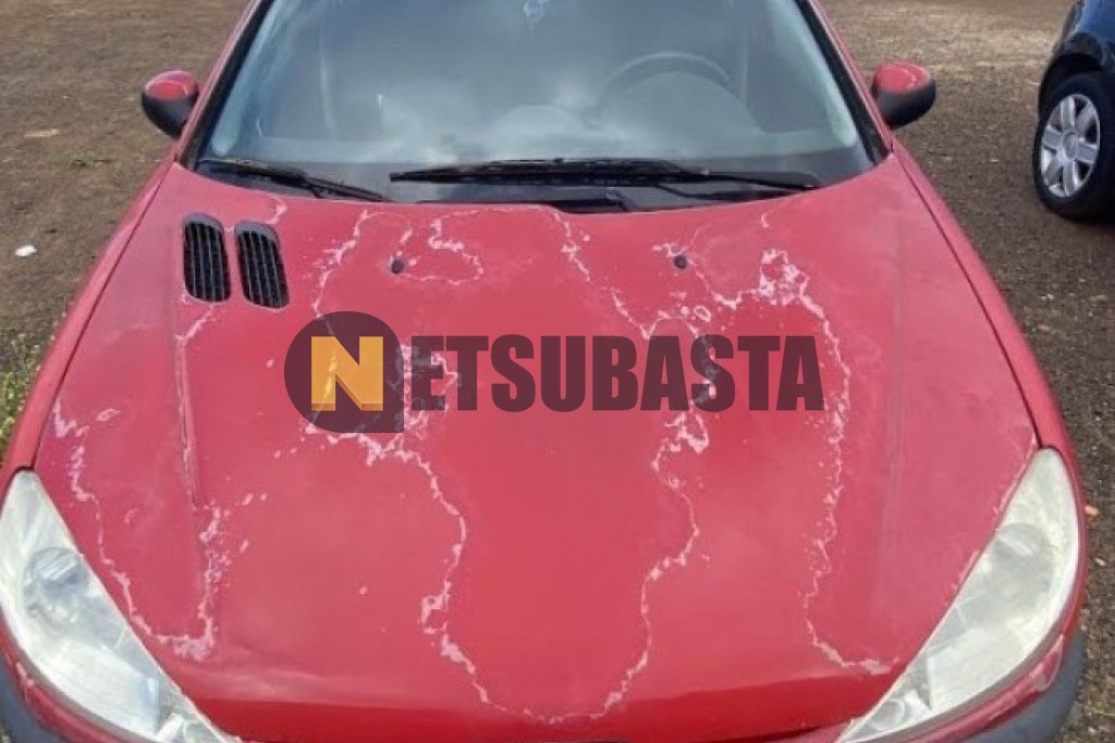 Peugeot 206 1.4 2005