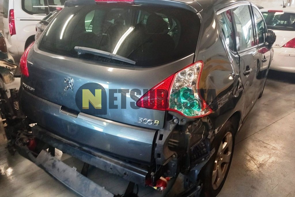 Peugeot 3008 2.0 HDI FAP 2010