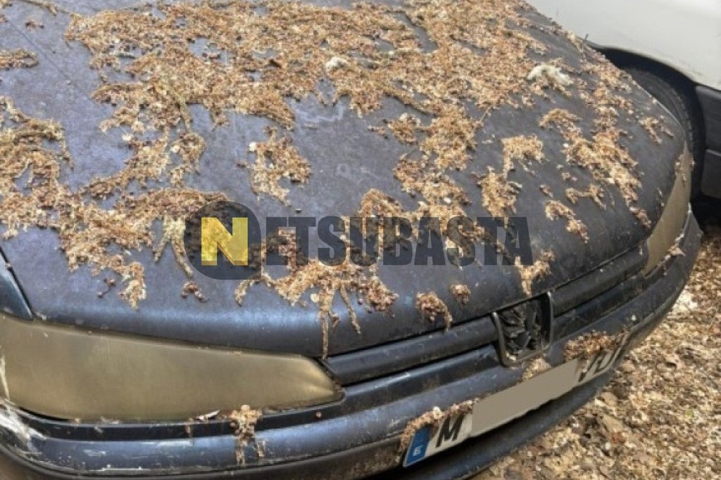 Peugeot 406 1.8 16v 1997