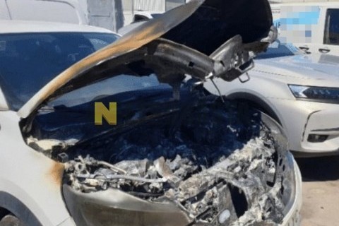 Yamaha YZF 600 R Thundercat 1999