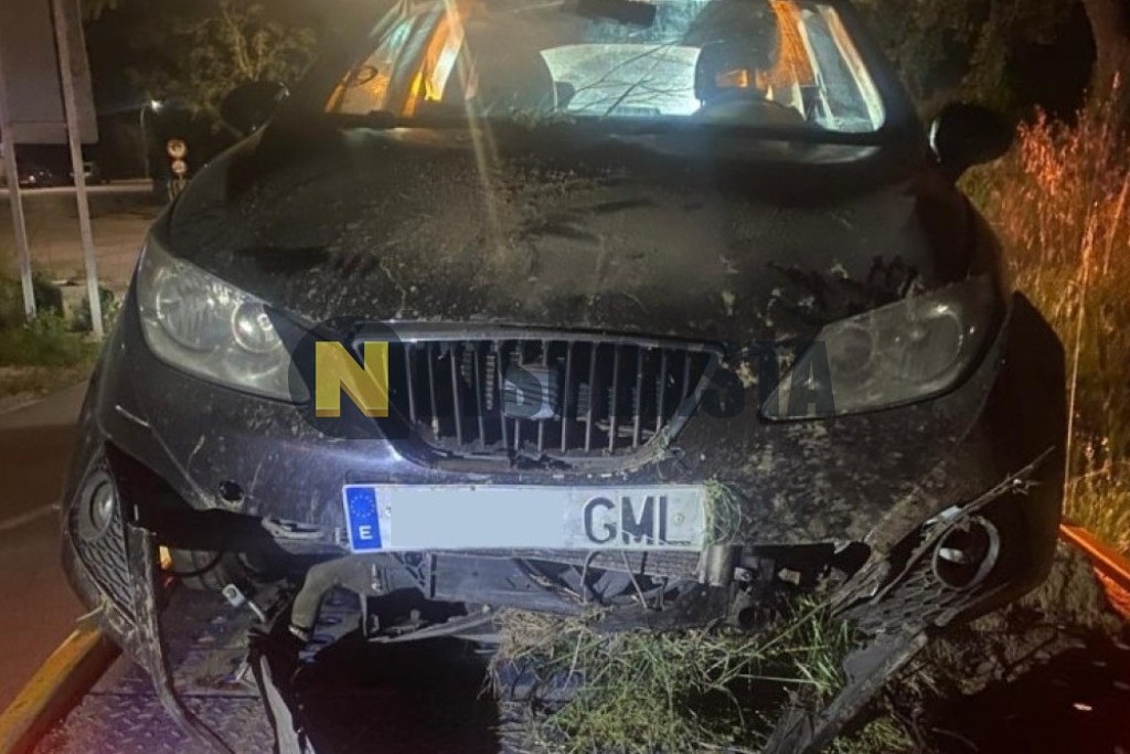 Seat Ibiza 1.9 TDI 2009