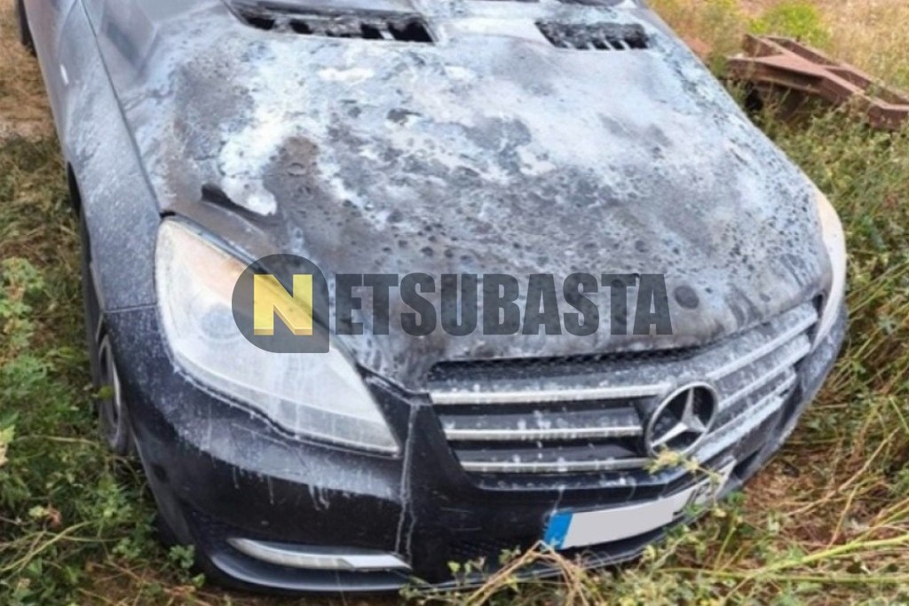Mercedes-Benz R 300 CDI 2011