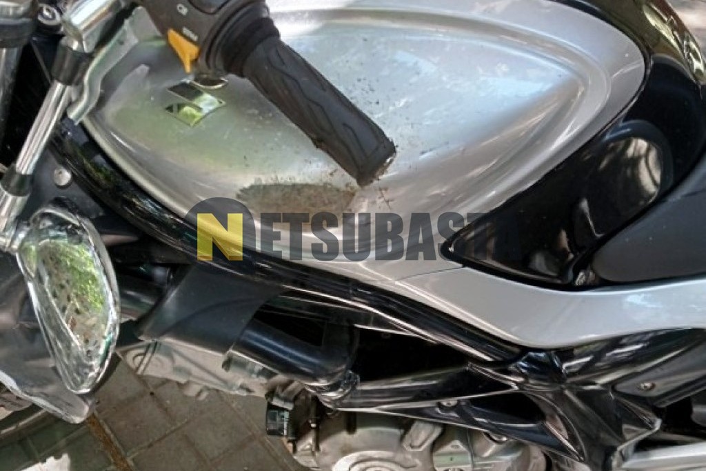 Suzuki Gladius 650 2011
