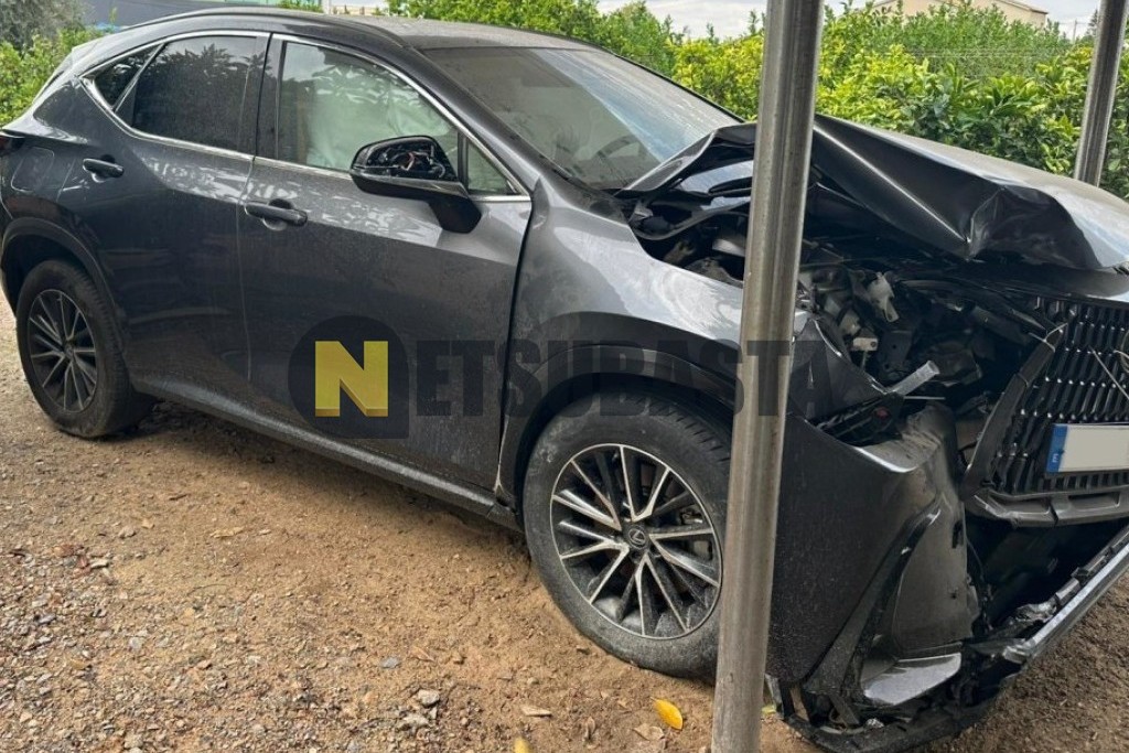 Lexus NX 450h+ 4X4 2025
