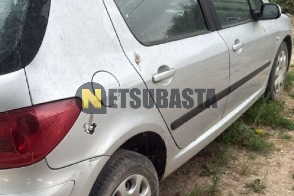 Peugeot 307 2.0 HDi 2004