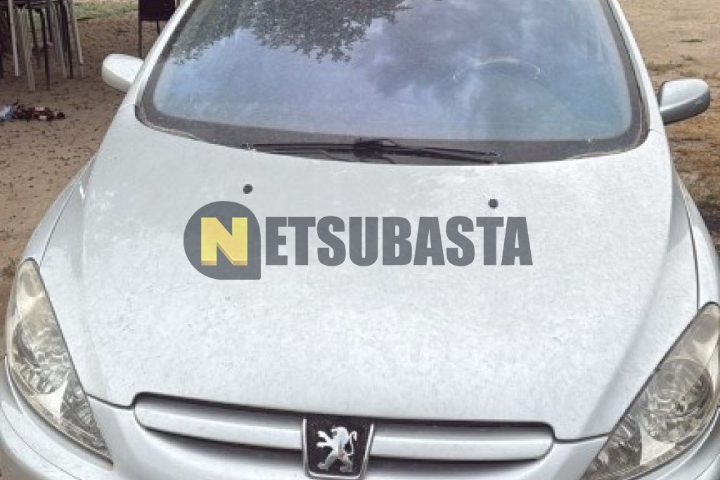 Peugeot 307 2.0 HDi 2004