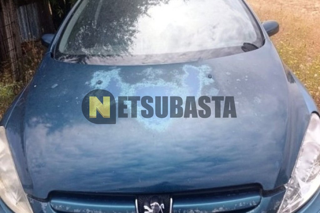 Peugeot 307 SW 1.6 HDi 2005