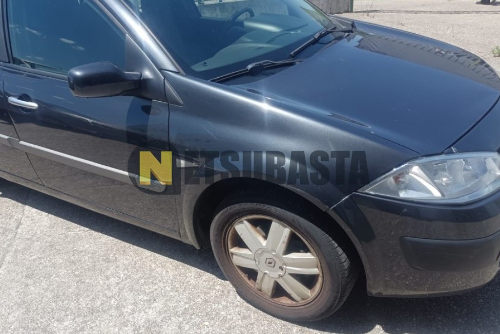Renault Megane Grand Tour 1.9 dCi 2005