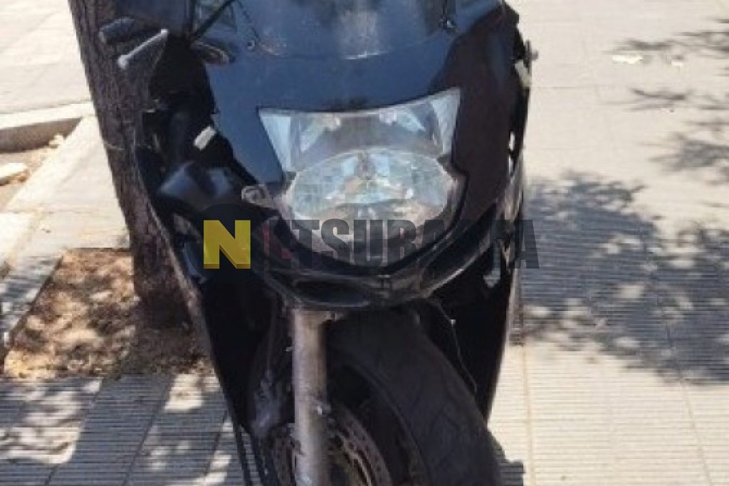 Honda CBR 1100 XX 2000