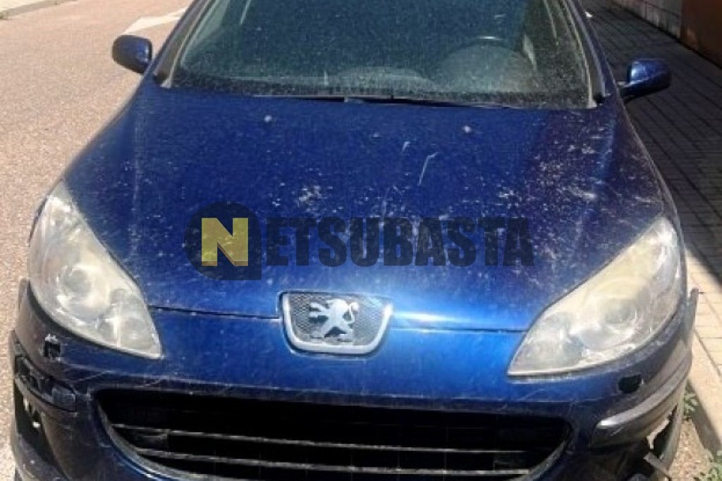 Peugeot 407 ST 2.0 HDi FAP 2005