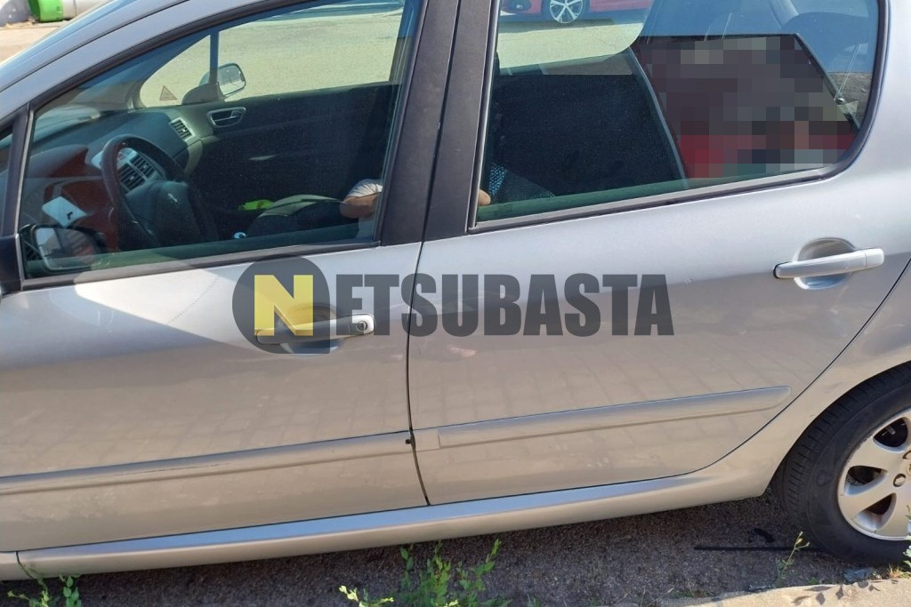 Peugeot 307 2.0 HDi 2002