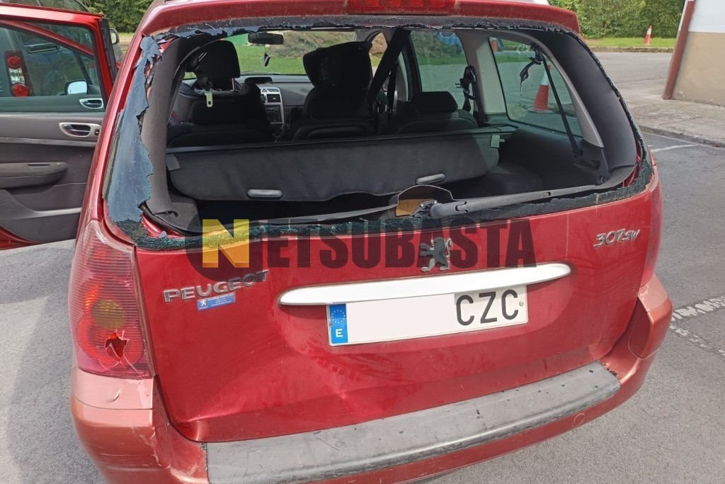 Peugeot 307 SW 2.0 2004