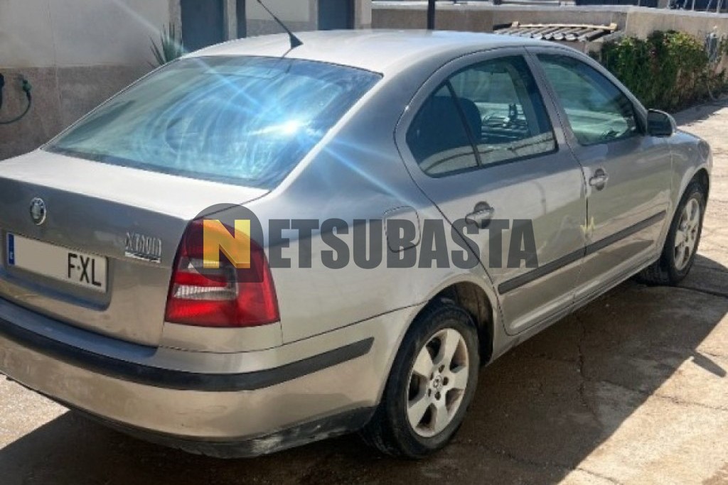 Skoda Octavia 1.9 TDI 2007