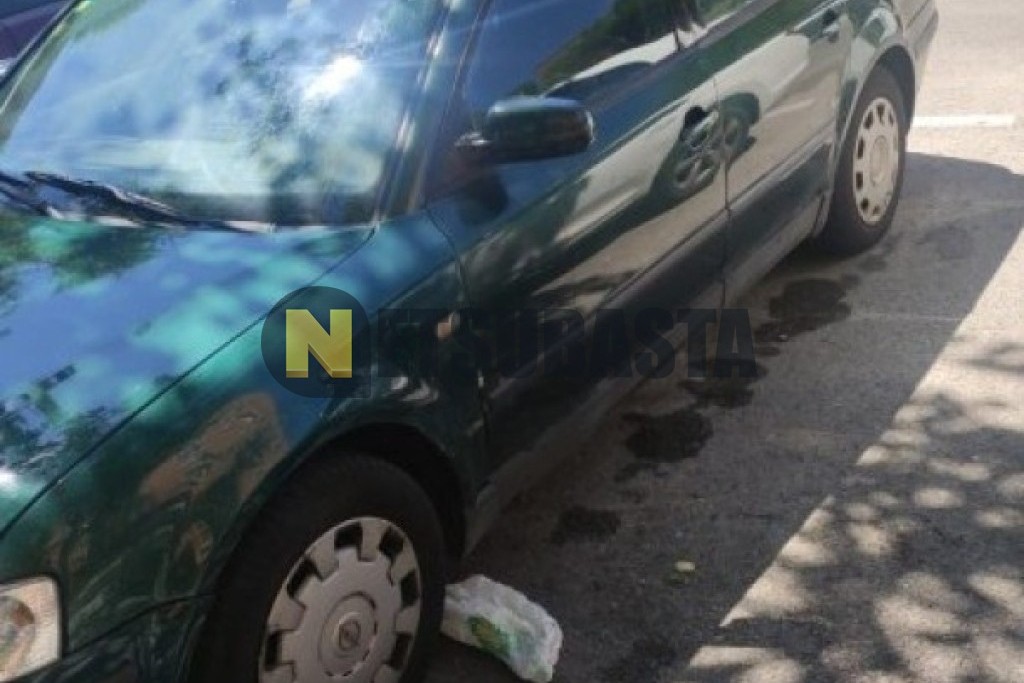 Volkswagen Passat 1.9 TDI 1999