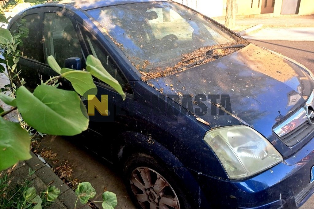 Opel Meriva 1.7 CDTi 2007