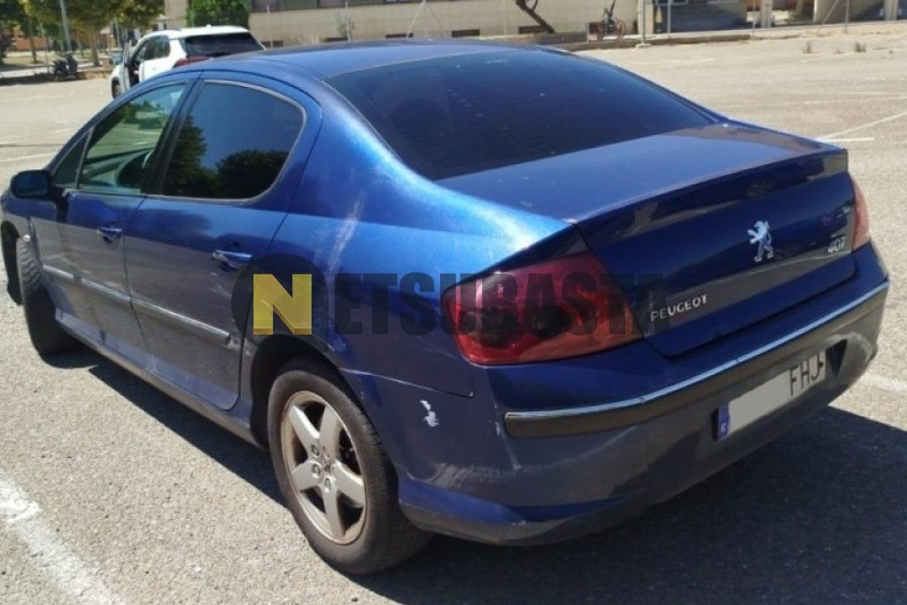 Peugeot 407 ST 2.0 HDi FAP 2006