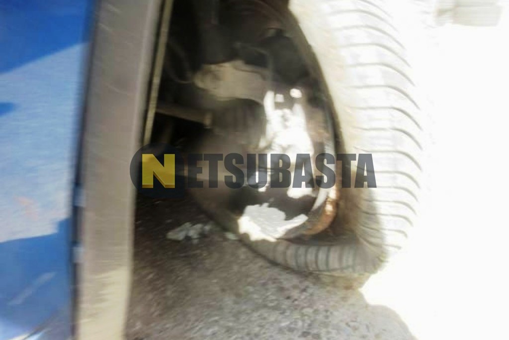 Skoda Kodiaq 2.0 TDI DSG 4x2 2023