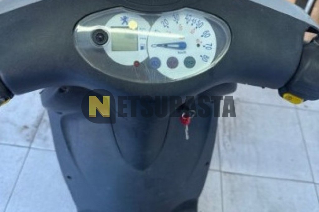 Peugeot Loxoor 50 2006