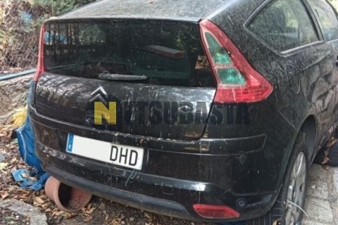 Piaggio X9 EVOLUTION 125 2006