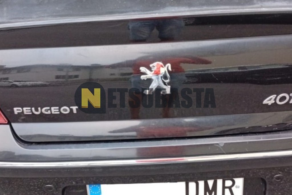 Peugeot 407 ST 2.0 HDi FAP 2005