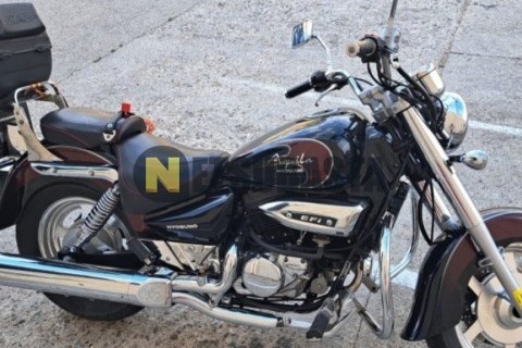 ZONTES M 310 2022