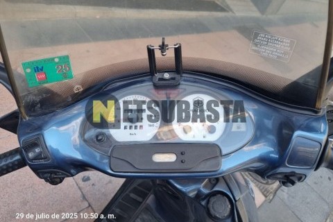 ZONTES M 310 2022
