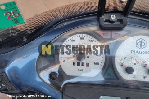 ZONTES M 310 2022