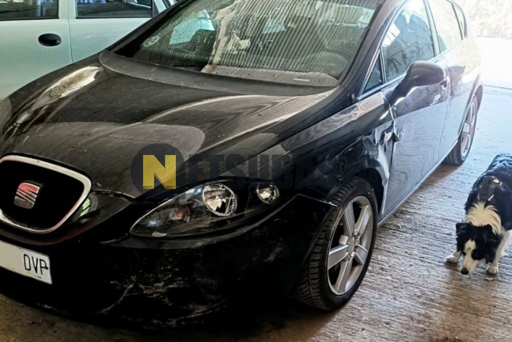 Seat Leon 2.0 TDI 2006
