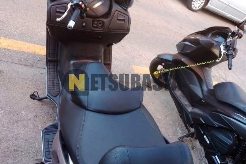 Suzuki BURGMAN 650 Executive 2009