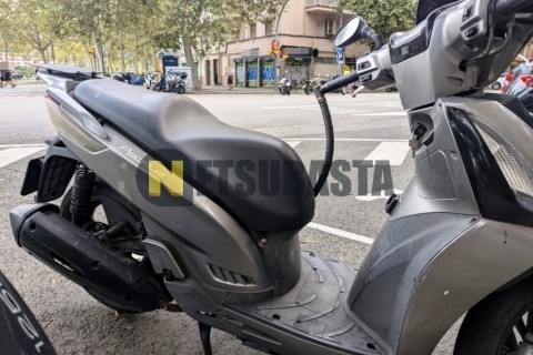 ZONTES M 310 2022