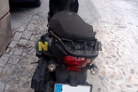 ZONTES M 310 2022