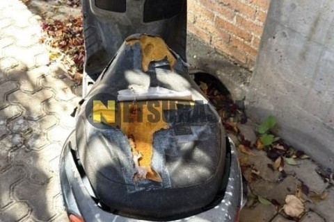 Ford F-Max 500 2021