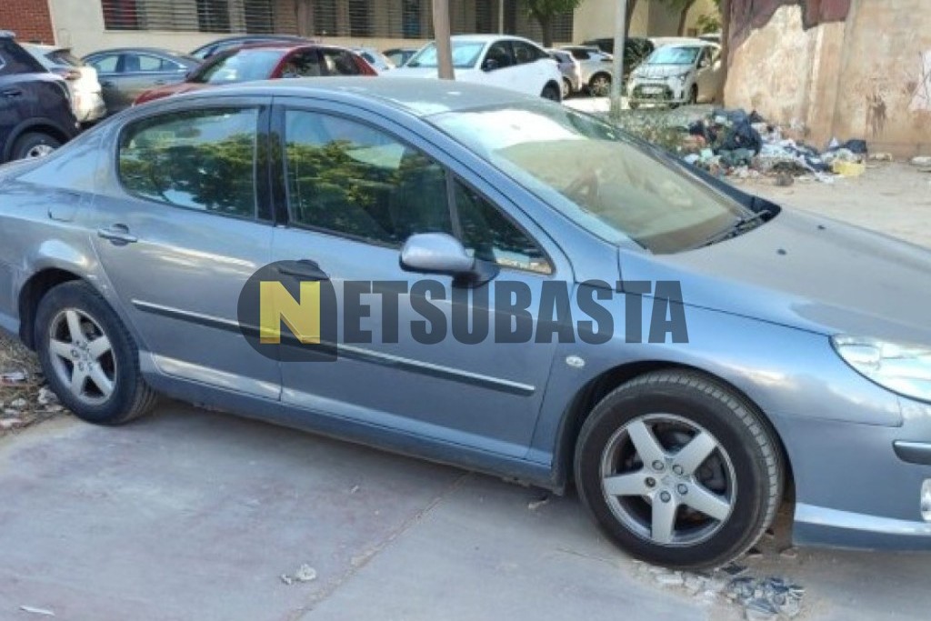 Peugeot 407 ST 2.0 2005
