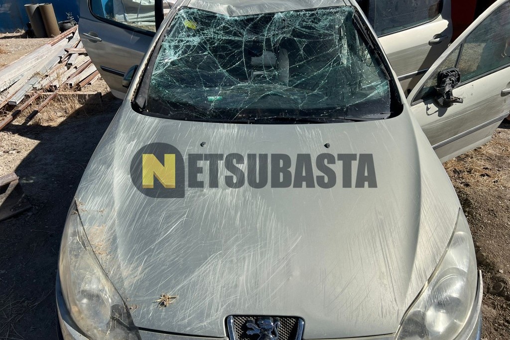 Peugeot 407 ST 1.6 HDi 2005