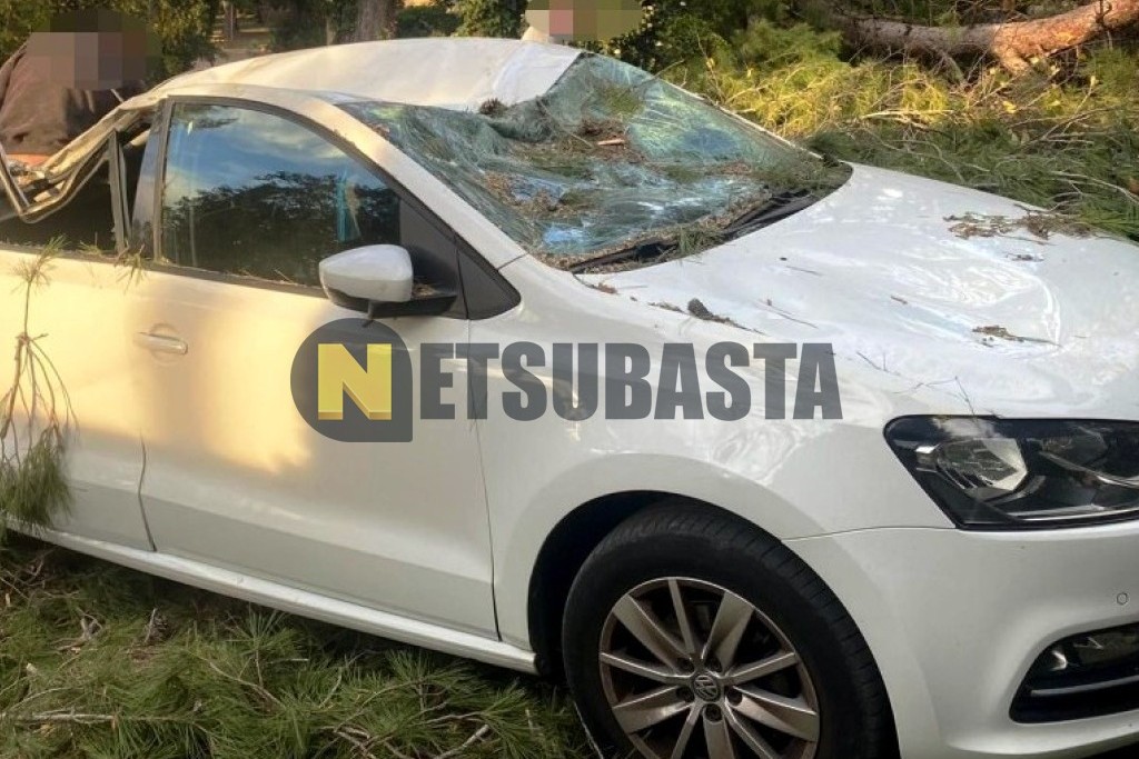 Volkswagen Polo 1.2 TSI BMT 2016
