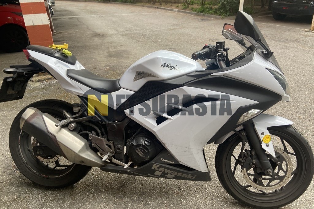 Kawasaki Ninja 300 2013