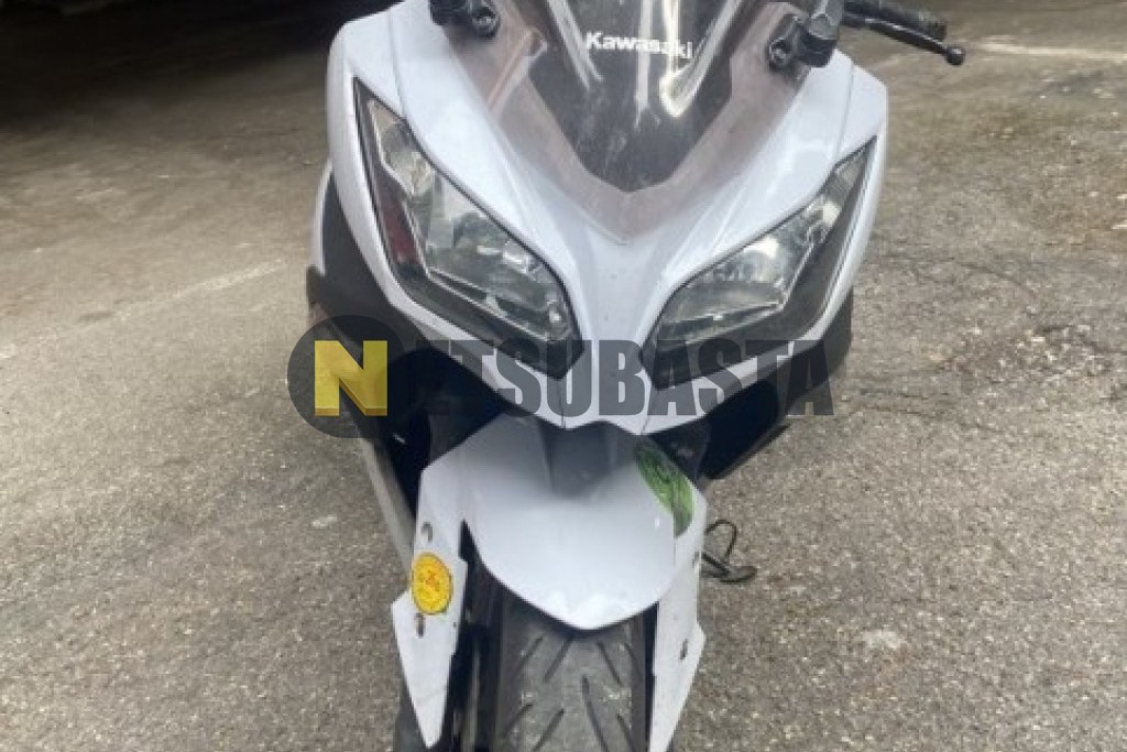 Kawasaki Ninja 300 2013