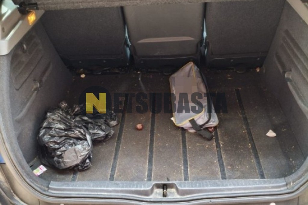 Renault Scenic 1.9 dCi 2007