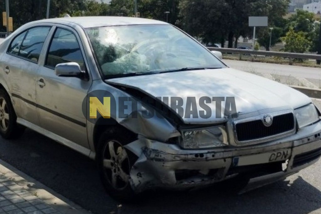 Skoda Octavia 1.9 TDI 2003