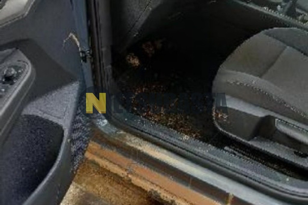 Volkswagen Golf 2.0 TDI 2023