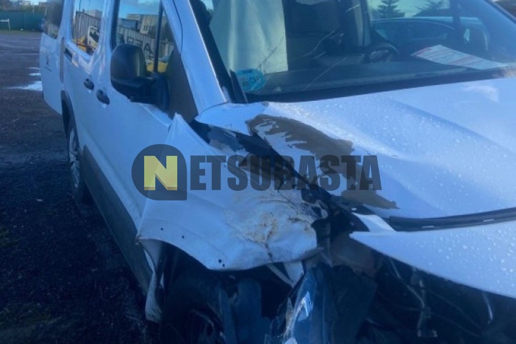 Peugeot Rifter 1.5 BlueHDi 2019
