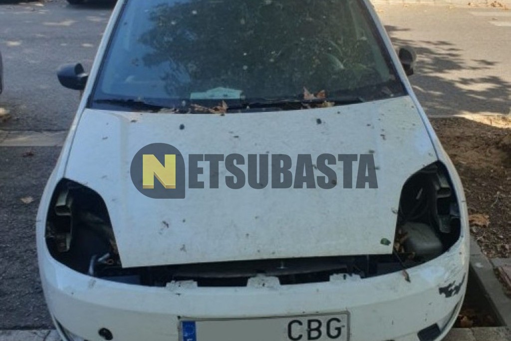 Ford Fiesta 1.4 TDCi 2002